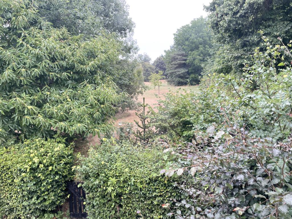 Lot: 138 - RURAL SEMI-DETACHED COTTAGE FOR IMPROVEMENT ON LARGE PLOT - View from Rear Bedroom Window